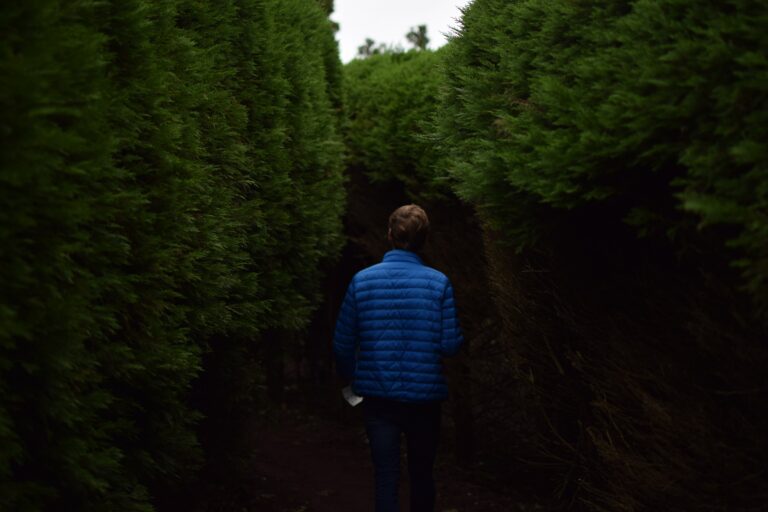 man in blue navigating a maze